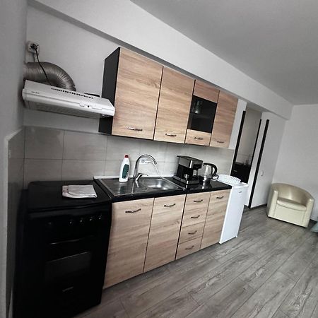 Apartament Ultracentral Vatra Dornei Leilighet Eksteriør bilde